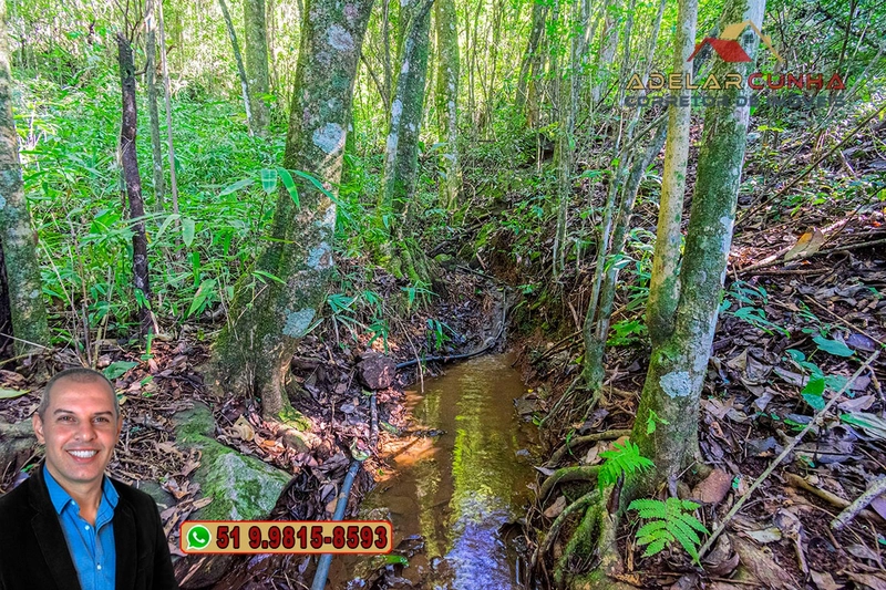 Sítio de 3.7 hectares à VENDA Gramado - RS: 7ª foto da galeria de imagens do imóvel