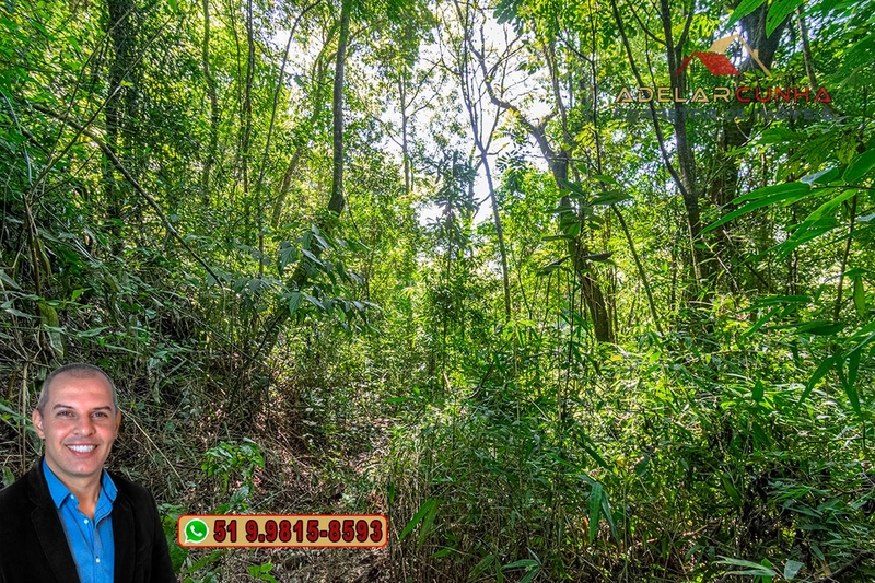 Sítio de 3.7 hectares à VENDA Gramado - RS: 16ª foto da galeria de imagens do imóvel