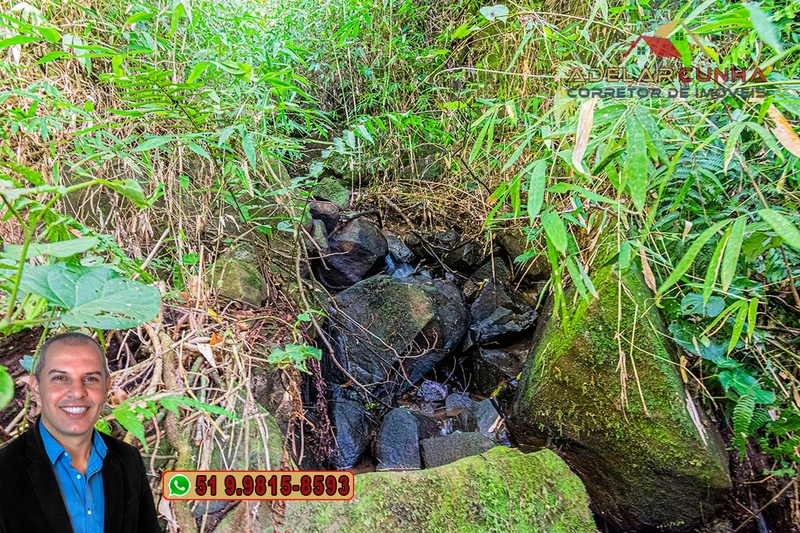 Sítio de 3.7 hectares à VENDA Gramado - RS: 13ª foto da galeria de imagens do imóvel