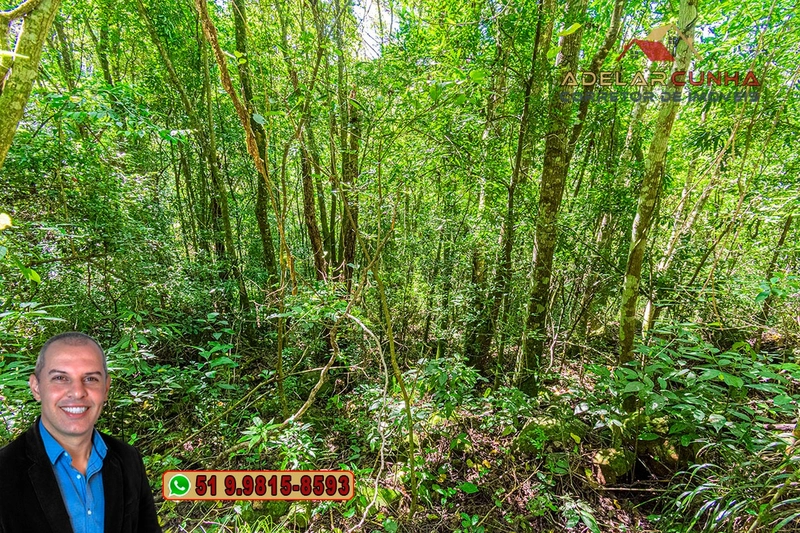 Sítio de 3.7 hectares à VENDA Gramado - RS: 3ª foto da galeria de imagens do imóvel