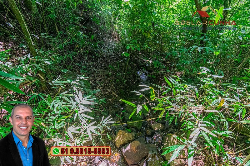 Sítio de 3.7 hectares à VENDA Gramado - RS: 15ª foto da galeria de imagens do imóvel
