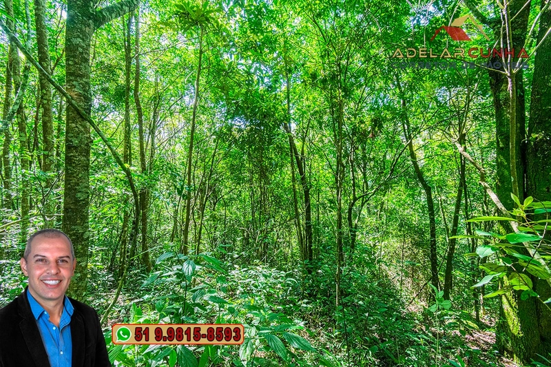Sítio de 3.7 hectares à VENDA Gramado - RS: 2ª foto da galeria de imagens do imóvel