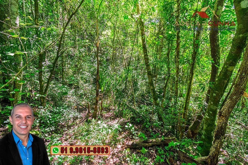 Sítio de 3.7 hectares à VENDA Gramado - RS: 6ª foto da galeria de imagens do imóvel