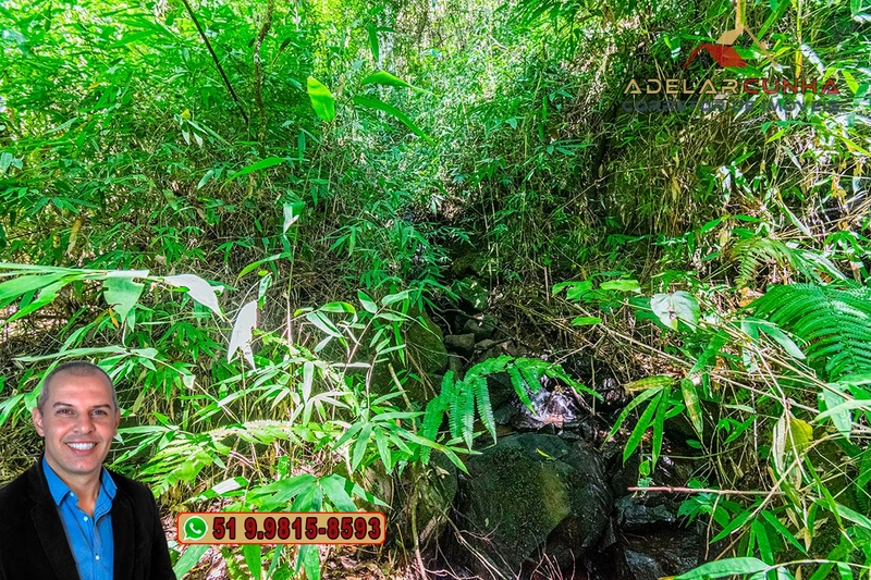 Sítio de 3.7 hectares à VENDA Gramado - RS: 14ª foto da galeria de imagens do imóvel