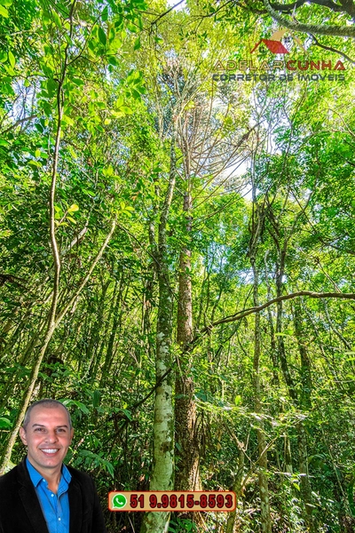 Sítio de 3.7 hectares à VENDA Gramado - RS: 5ª foto da galeria de imagens do imóvel