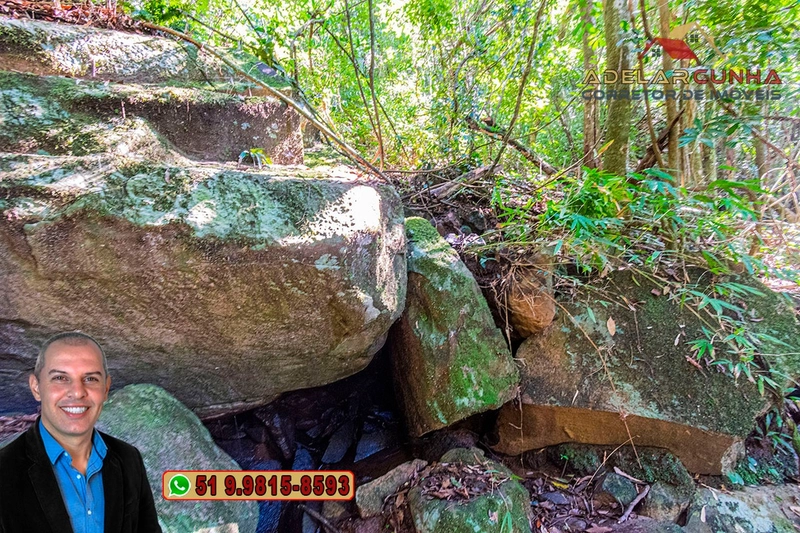 Sítio de 3.7 hectares à VENDA Gramado - RS: 11ª foto da galeria de imagens do imóvel