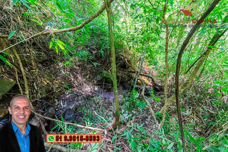Sítio de 3.7 hectares à VENDA Gramado - RS: 10ª foto da galeria de imagens do imóvel