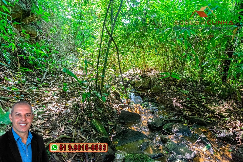 Sítio de 3.7 hectares à VENDA Gramado - RS: 8ª foto da galeria de imagens do imóvel