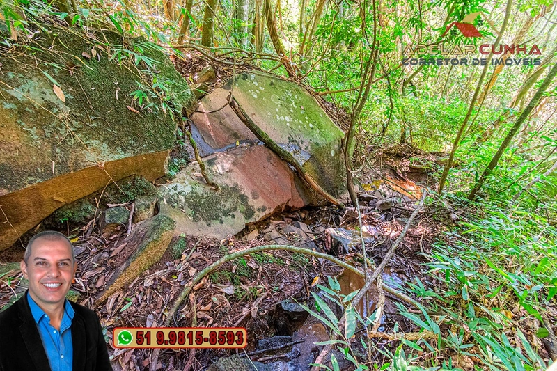 Sítio de 3.7 hectares à VENDA Gramado - RS: 12ª foto da galeria de imagens do imóvel