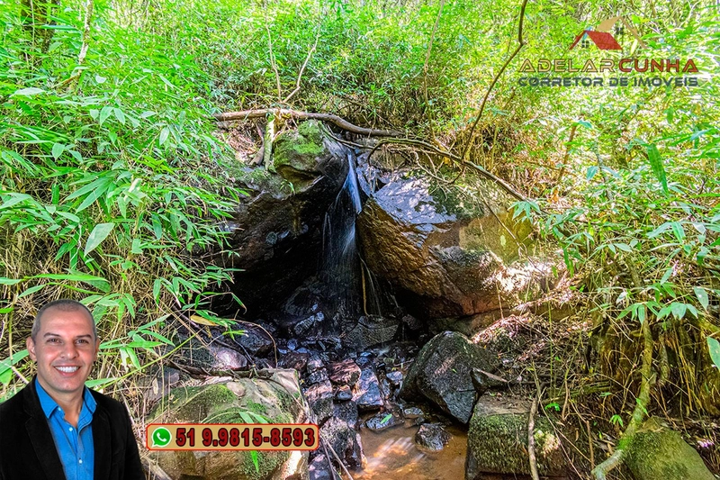 Sítio de 3.7 hectares à VENDA Gramado - RS: 9ª foto da galeria de imagens do imóvel