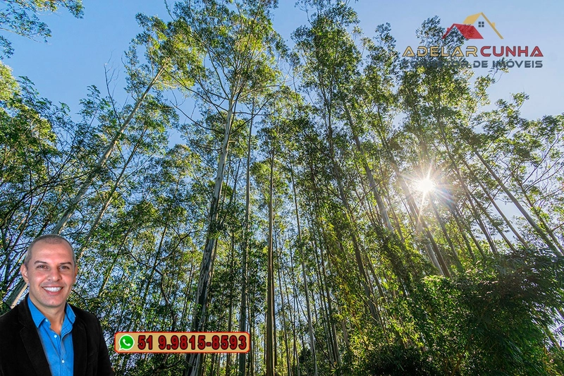 Chácara de 2 hectares à VENDA em Araricá: 15ª foto da galeria de imagens do imóvel