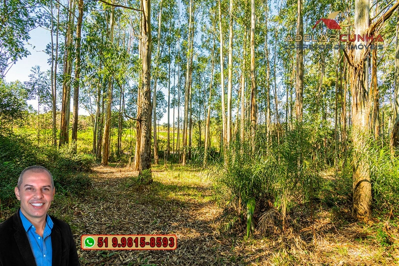 Chácara de 2 hectares à VENDA em Araricá: 17ª foto da galeria de imagens do imóvel