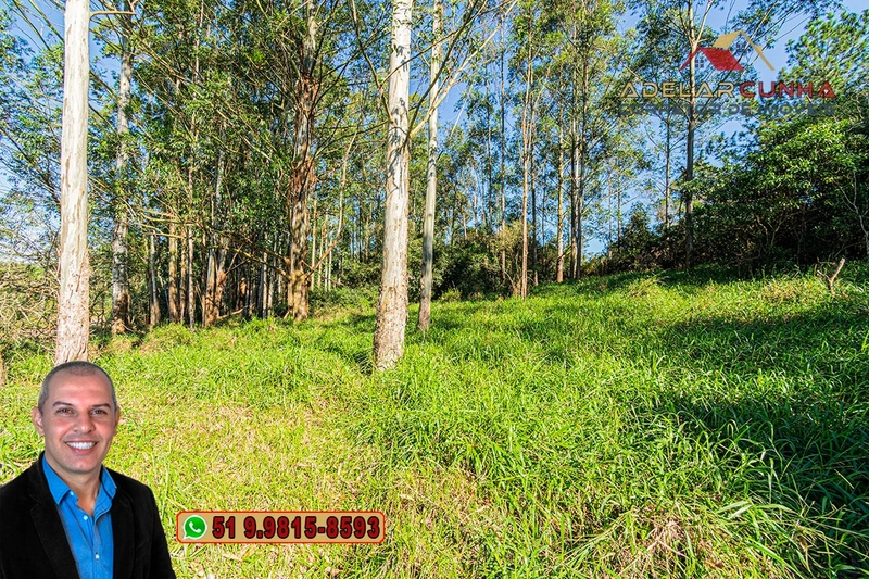 Chácara de 2 hectares à VENDA em Araricá: 19ª foto da galeria de imagens do imóvel