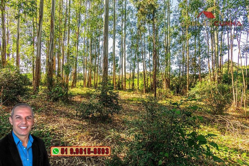 Chácara de 2 hectares à VENDA em Araricá: 16ª foto da galeria de imagens do imóvel