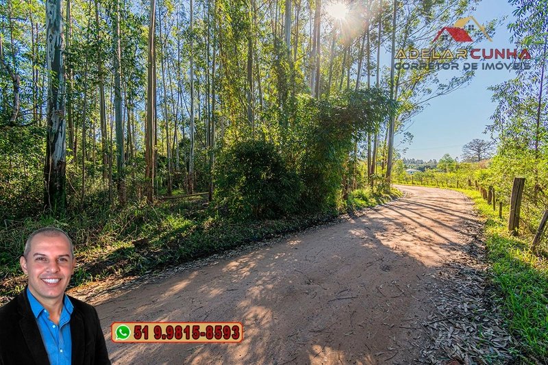 Chácara de 2 hectares à VENDA em Araricá: 7ª foto da galeria de imagens do imóvel