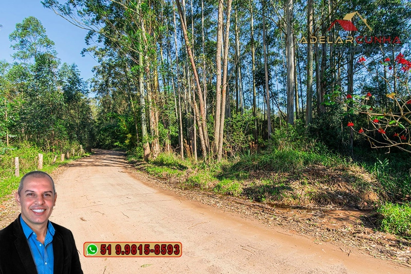 Chácara de 2 hectares à VENDA em Araricá: 5ª foto da galeria de imagens do imóvel