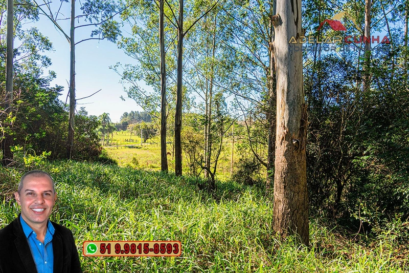 Chácara de 2 hectares à VENDA em Araricá: 12ª foto da galeria de imagens do imóvel
