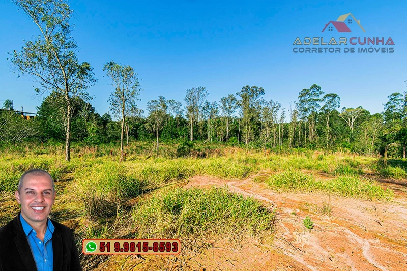 Terreno Comercial 1.9 ha à VENDA Igrejinha / Taquara - RS115: 9ª foto da galeria de imagens do imóvel