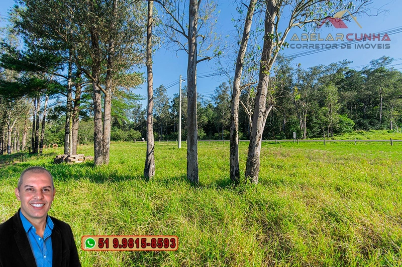 Terreno Comercial 1.9 ha à VENDA Igrejinha / Taquara - RS115: 7ª foto da galeria de imagens do imóvel