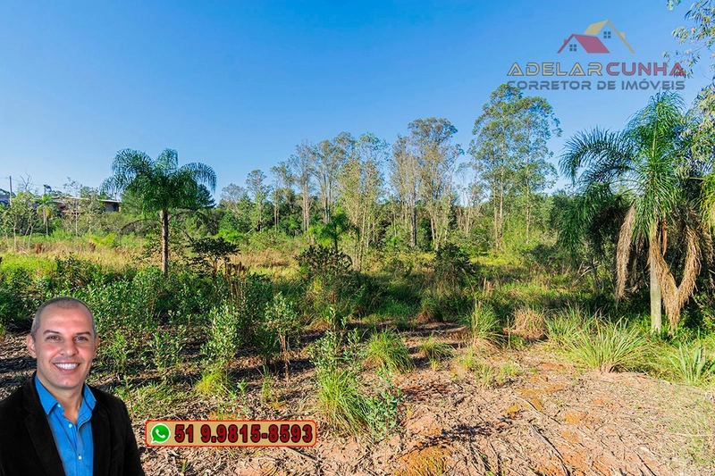 Terreno Comercial 1.9 ha à VENDA Igrejinha / Taquara - RS115: 11ª foto da galeria de imagens do imóvel