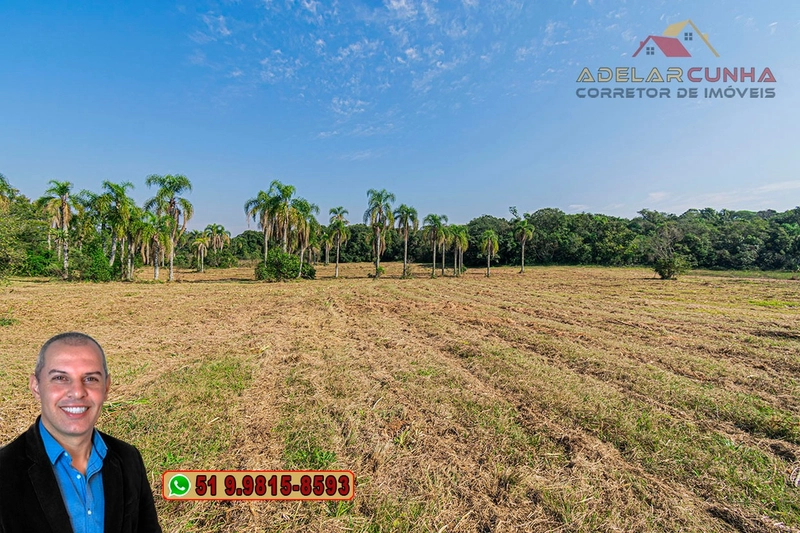 Sítio de 41.8 hectares à VENDA em Taquara - RS: 36ª foto da galeria de imagens do imóvel
