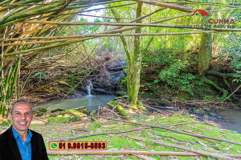 Sítio de 10.8 hectares com Riacho à VENDA em Taquara - RS: 57ª foto da galeria de imagens do imóvel