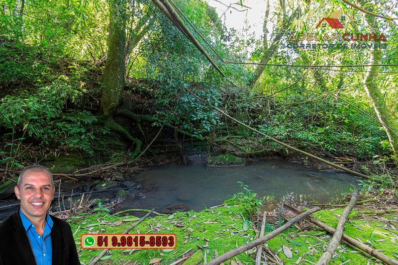 Sítio de 10.8 hectares com Riacho à VENDA em Taquara - RS: 58ª foto da galeria de imagens do imóvel