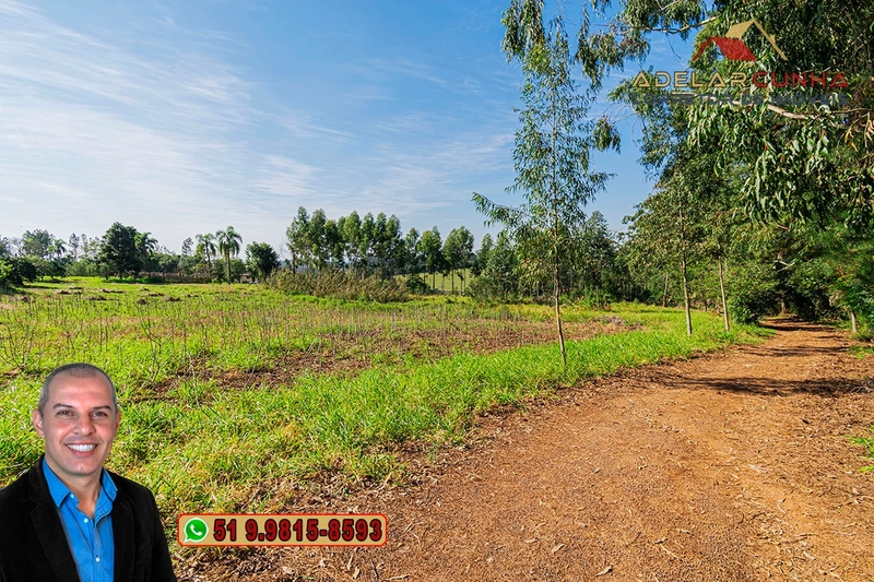 Sítio de 10.8 hectares com Riacho à VENDA em Taquara - RS: 2ª foto da galeria de imagens do imóvel