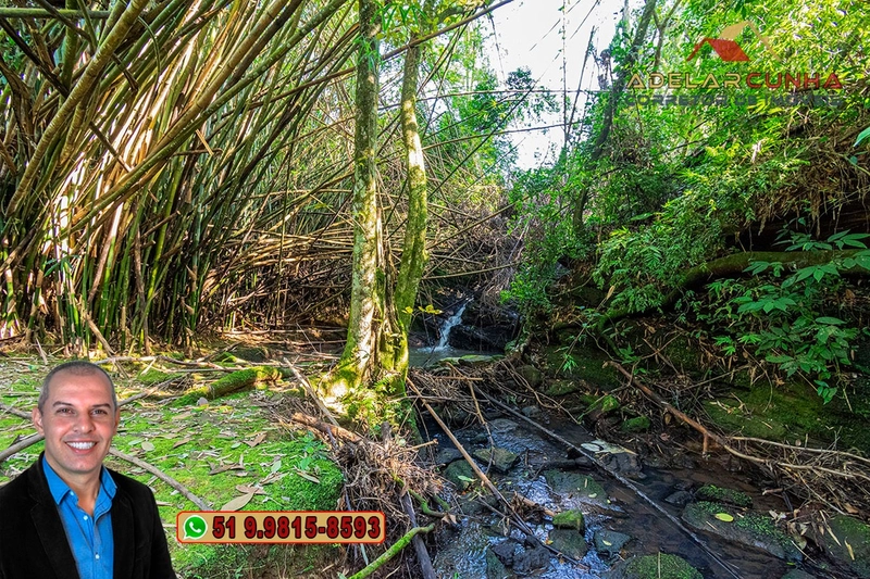 Sítio de 10.8 hectares com Riacho à VENDA em Taquara - RS: 59ª foto da galeria de imagens do imóvel