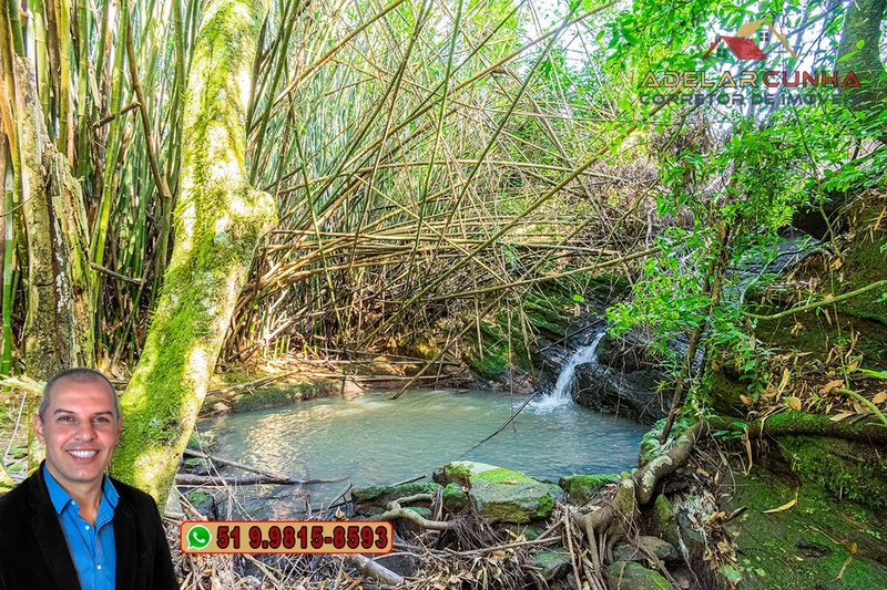 Sítio de 10.8 hectares com Riacho à VENDA em Taquara - RS: 60ª foto da galeria de imagens do imóvel