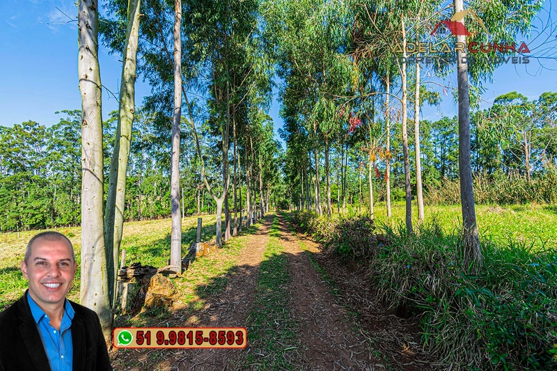 Sítio de 10.8 hectares com Riacho à VENDA em Taquara - RS: 6ª foto da galeria de imagens do imóvel