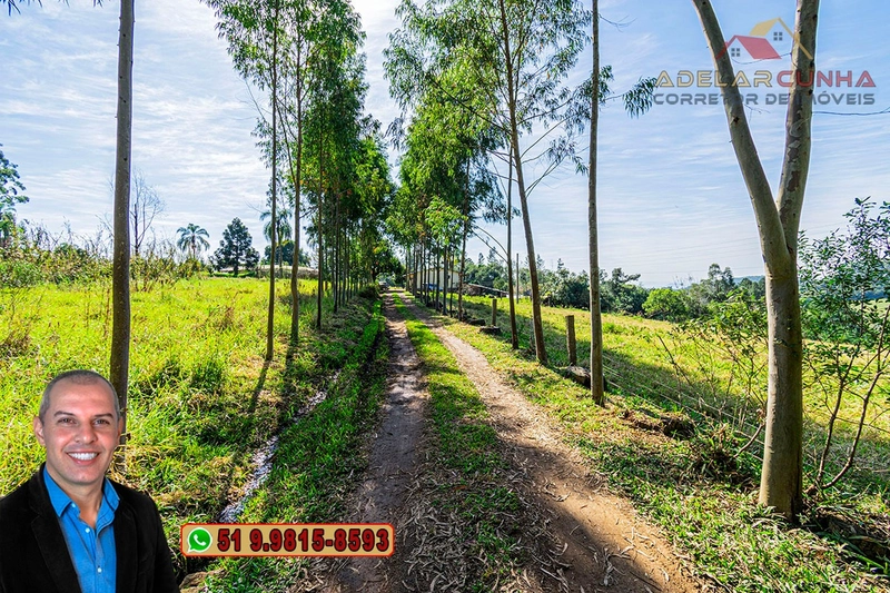 Sítio de 10.8 hectares com Riacho à VENDA em Taquara - RS: 4ª foto da galeria de imagens do imóvel
