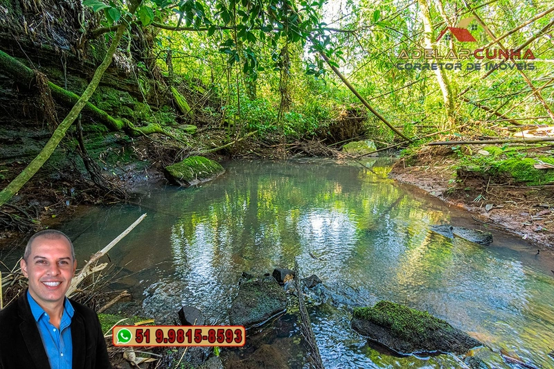 Sítio de 10.8 hectares com Riacho à VENDA em Taquara - RS: 61ª foto da galeria de imagens do imóvel