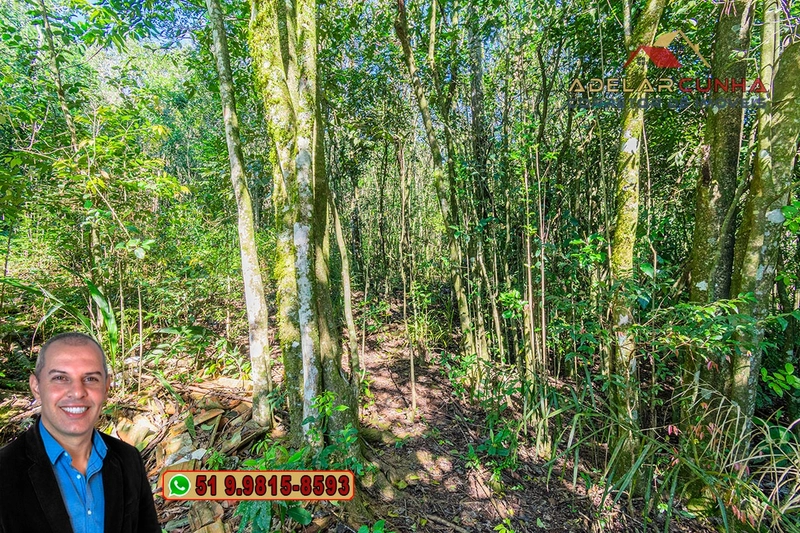 Terreno Comercial com Casa à VENDA em Taquara - RS: 8ª foto da galeria de imagens do imóvel