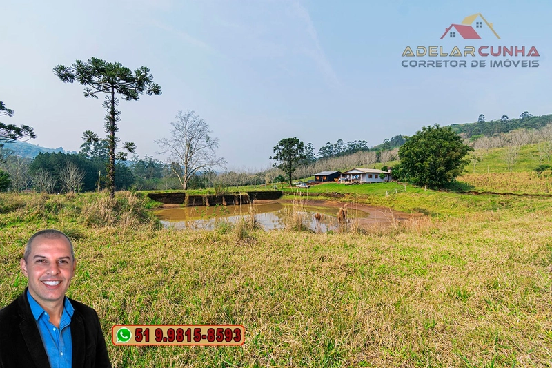 Sítio de 7.9 hectares à VENDA em Igrejinha - RS: 7ª foto da galeria de imagens do imóvel