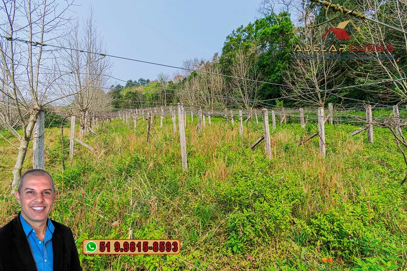 Sítio de 7.9 hectares à VENDA em Igrejinha - RS: 35ª foto da galeria de imagens do imóvel
