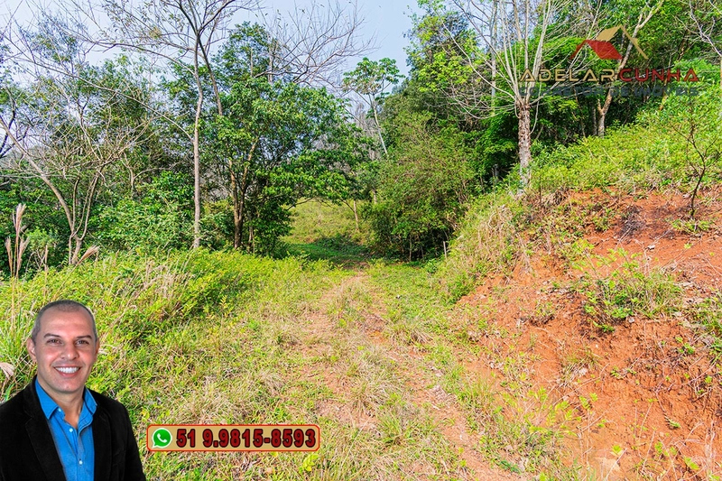 Sítio de 7.9 hectares à VENDA em Igrejinha - RS: 39ª foto da galeria de imagens do imóvel