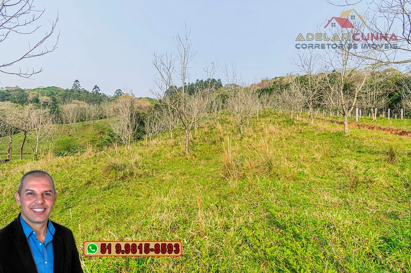 Sítio de 7.9 hectares à VENDA em Igrejinha - RS: 29ª foto da galeria de imagens do imóvel