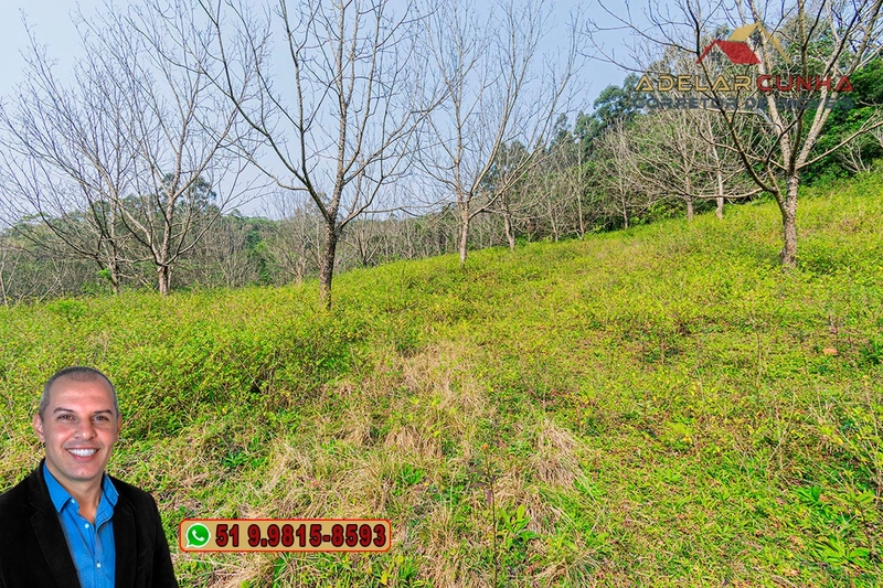Sítio de 7.9 hectares à VENDA em Igrejinha - RS: 41ª foto da galeria de imagens do imóvel