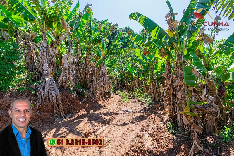 Sítio de 11.7 hectares à VENDA Igrejinha - RS: 77ª foto da galeria de imagens do imóvel