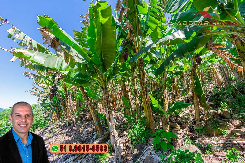 Sítio de 11.7 hectares à VENDA Igrejinha - RS: 62ª foto da galeria de imagens do imóvel