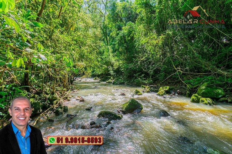 Sítio de 11.7 hectares à VENDA Igrejinha - RS: 7ª foto da galeria de imagens do imóvel