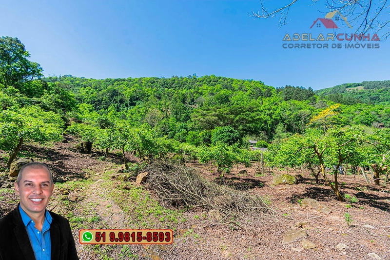 Sítio de 11.7 hectares à VENDA Igrejinha - RS: 66ª foto da galeria de imagens do imóvel