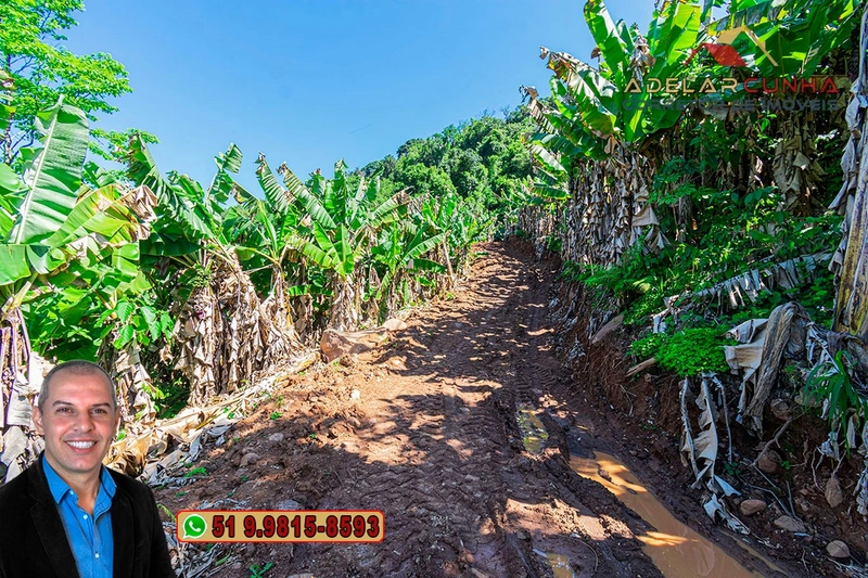 Sítio de 11.7 hectares à VENDA Igrejinha - RS: 79ª foto da galeria de imagens do imóvel
