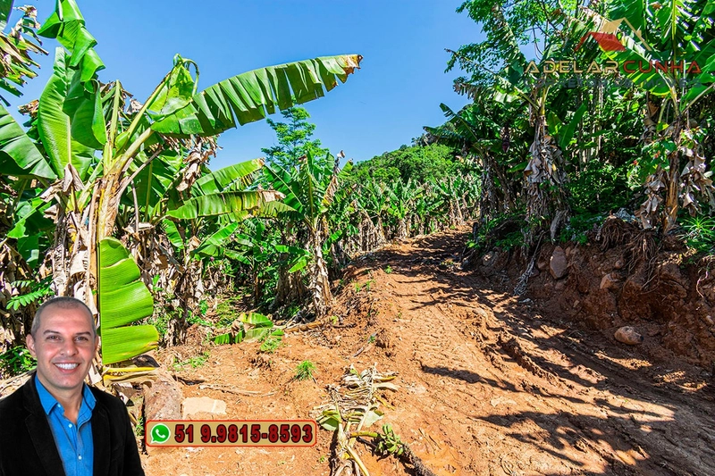 Sítio de 11.7 hectares à VENDA Igrejinha - RS: 78ª foto da galeria de imagens do imóvel
