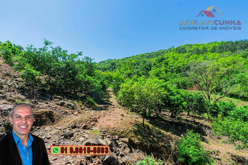 Sítio de 11.7 hectares à VENDA Igrejinha - RS: 59ª foto da galeria de imagens do imóvel