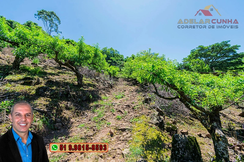 Sítio de 11.7 hectares à VENDA Igrejinha - RS: 60ª foto da galeria de imagens do imóvel