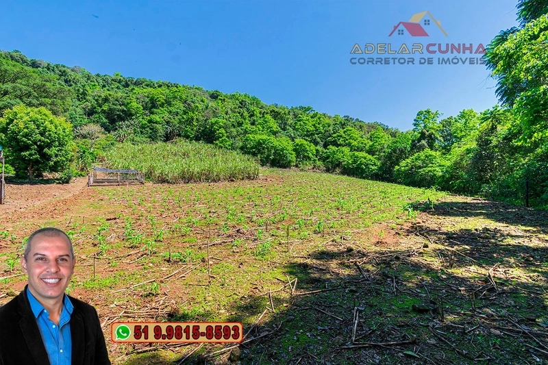 Sítio de 11.7 hectares à VENDA Igrejinha - RS: 48ª foto da galeria de imagens do imóvel