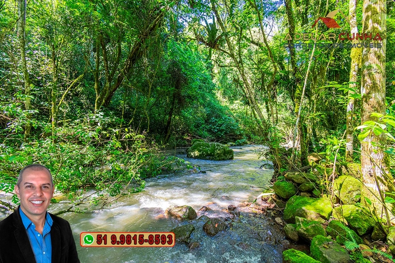 Sítio de 11.7 hectares à VENDA Igrejinha - RS: 8ª foto da galeria de imagens do imóvel