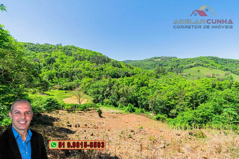 Sítio de 11.7 hectares à VENDA Igrejinha - RS: 57ª foto da galeria de imagens do imóvel